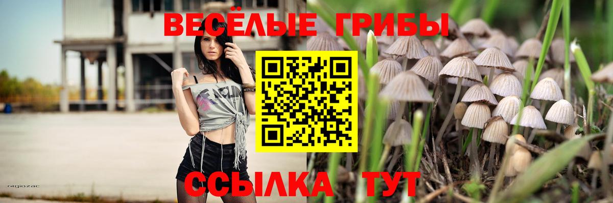 Псилоцибиновые грибы GOLDEN TEACHER  Вход с VPN  цена наркотик  Семилуки  Галлюциногенные грибы прущие грибы 